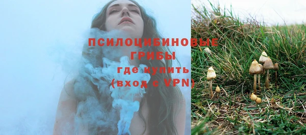 хмурый Алексеевка
