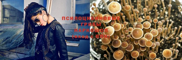 apvp Алзамай