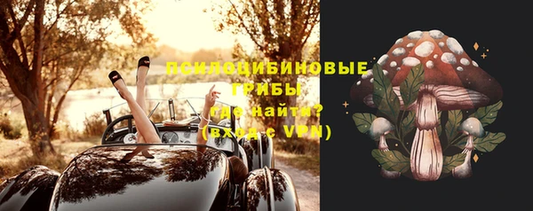 хмурый Алексеевка